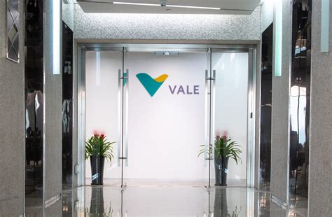 Brazil miner Vale's CEO announcement to curb market .